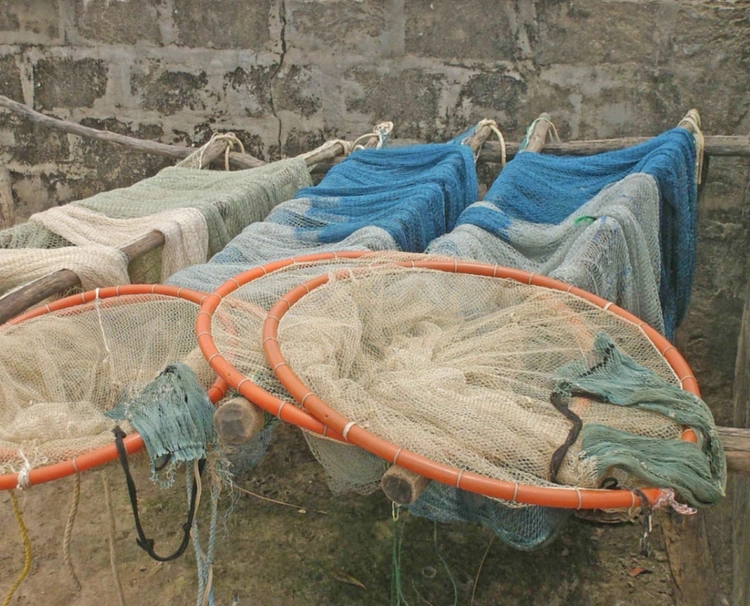 Gros filet de pêche