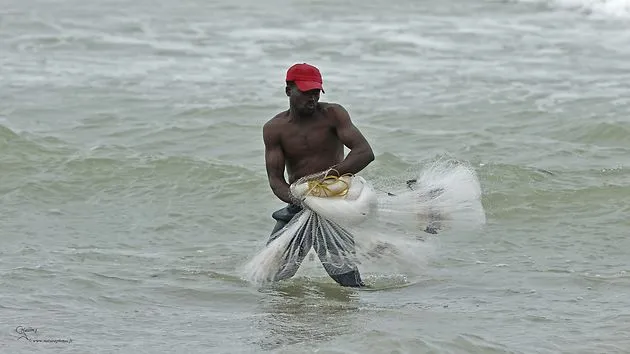 La pêche au filet d'araignée à Avlo