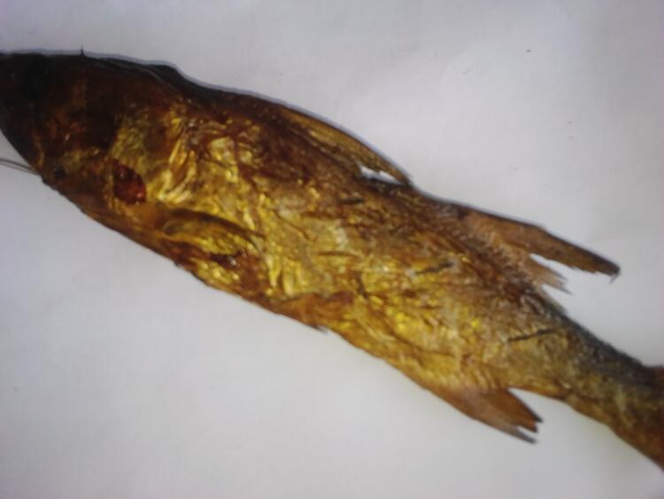 Poisson fumé Poisson fumé